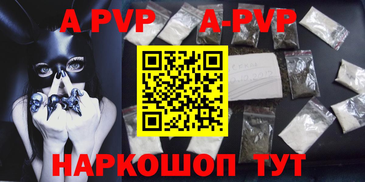 Альфа ПВП СК КРИС Назрань