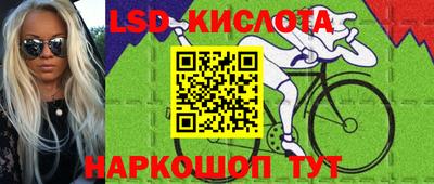PSILOCYBIN Пугачёв