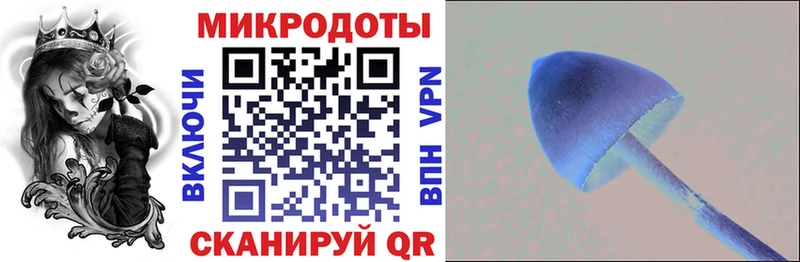 Галлюциногенные грибы GOLDEN TEACHER  купить наркотики цена  МЕГА зеркало  Назрань 