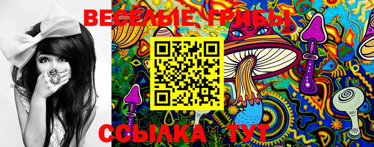 Назрань  Псилоцибиновые грибы Cubensis  Вход с VPN 